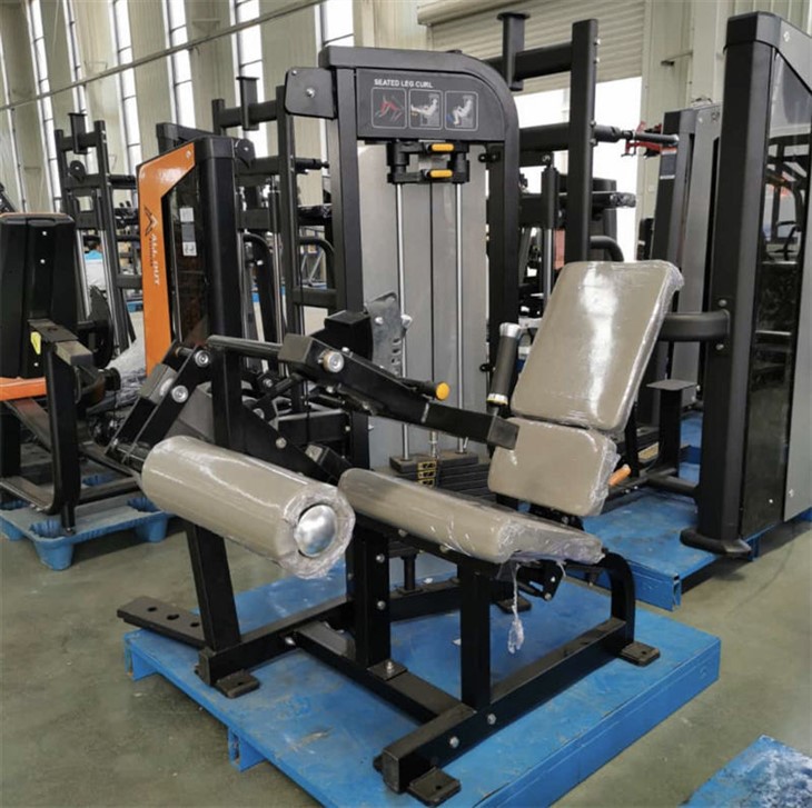 Seated Leg Curl factory