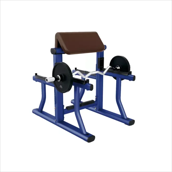 Arm Curl Bench：An Ideal Helper For Powerful Biceps Training price